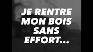 AAA Ludo rentre son bois