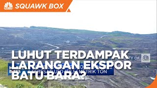 Perusahaan Batu Bara Milik Luhut Terdampak Larangan Ekspor
