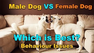 Male Vs Female Dog Behaviour Issues : Which Is Best? : TUC