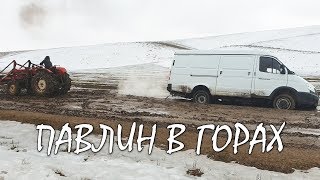 На ГАЗЕЛИ по ГОРАМ. Павлин. Застрял