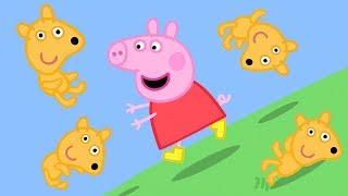Peppa Pig Official Channel | Peppa Pig's Teddy Rolls Down the Hill