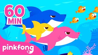 Mix - Tiburón Bebé Du ru du ru ???? | 60 Min | Baby Shark en español | Pinkfong Canciones Infantiles