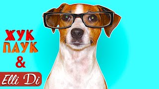 ТОП 20 ФАКТОВ О СОБАКАХ И ЩЕНКАХ | ИНТЕРЕСНЫЕ ФАКТЫ | Жук Паук и Elli Di Собаки