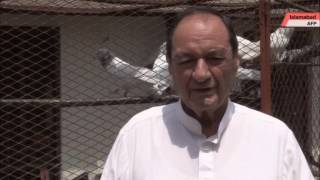 Watch these Pakistani pigeon racers as their dreams take flight