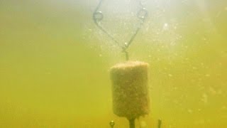 Растворение технопланктона в воде во время ловли толстолоба.Рыбалка.Fishing