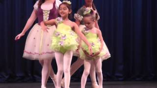 Shelby Grace Dance Recital 2014