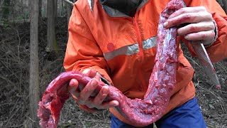 平成最後の狩猟生活（その１１４）