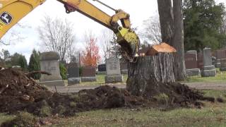 Stump removal regular speed