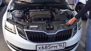 ṦKODA OCTAVIA A7 Установка пневмоупоров капота от компании ПАТРИОТ
