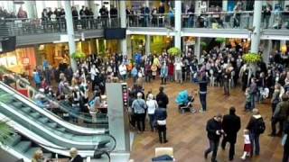 OESTERREICH SINGT Ode „An die Freude"