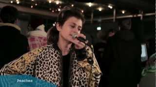 CDR Berlin private Chat with PEACHES