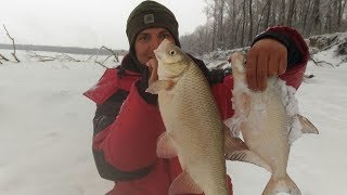 ОГРОМНЫЕ ЯЗИ!!!! ХОРОШИЕ ЛЕЩИ!!!! РЫБАЛКА НА КОМБАЙН)))))