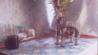 Робот-жираф пьёт чай