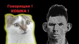 Говорящяя Кошка и Глад Валакас
