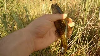 Ловля на микроджиг и микроколебло окуня и ротана