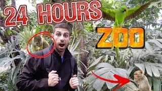(ANIMALS FIGHTING) 24 HOUR OVERNIGHT CHALLENGE IN A ZOO! | 24 HOUR CHALLENGE IN A BIODOME - JUNGLE