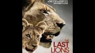 Watch The Last Lions Watch Movies Online Free