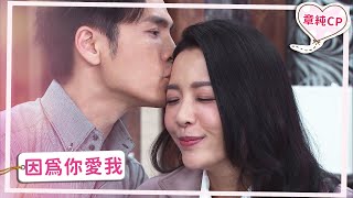 【章純CP】因為你愛我