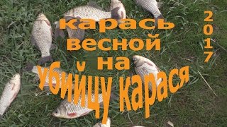 карась весной на снасть УБИЙЦА КАРАСЯ