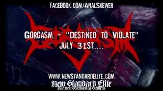 Gorgasm - "Infected With Lunacy" (Destined to Violate 2014 | New Standard Elite)
