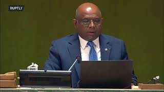 LIVE: UNGA continues emergency session on Ukraine