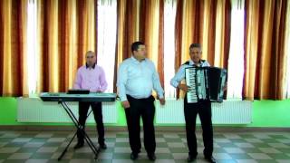 Sta murgul legat de gard - Mondial Band Falticeni