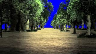 Walking in the Forest - Royalty Free Green Screen Footage