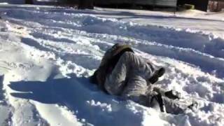 Cat Fight in the snow