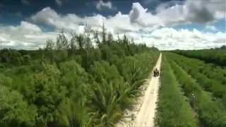 NUTRILITE-AMWAY RANCHOS ORGANICOS.LIDER MUNDIAL SUPLEMENTOS VITAMINICOS 1a parte