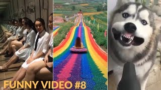 Прикольные короткие видео. Прикольные смешные видео. #8