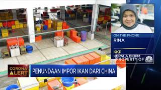 Tangkal Corona, Ini Penjelasan BKIPM Soal Larangan Impor Ikan dari China