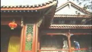 vuong phi buong binh 87