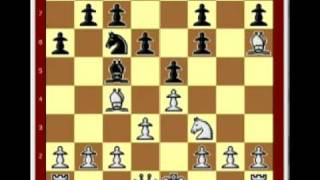 Chess Trap #15 Double Freddie Black