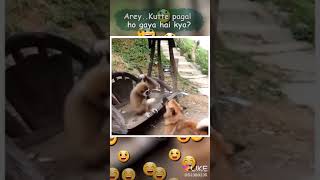 https://r1---sn-ab5szne7.googlevideo.com/videoplayback?id=o-AM2E8L_1XrlNOfsso1p