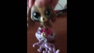 Lps эвэкты?