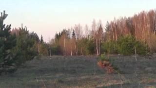 Работа РПГ Дуэт Портянко Белгородская область.