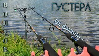 Русская Рыбалка 4 река ВОЛХОВ ФАРМ ГУСТЕРА! Лёгкая прокачка фидера.