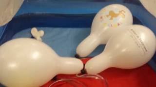White balloons blow up and pump b2p
