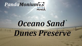 Rv Living Vlog: Pismo Beach & Hiking To Oceano Sand Dunes Preserve