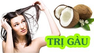 Dầu dừa , bí quyết trị gàu và rụng tóc