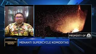 Commodity Boom, Ekonom Ingatkan Potensi Risiko Bubble