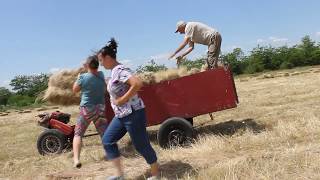 Сено в тюках, помогаем  родителям, грузим, везем и складываем.