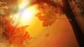 Dance Nation - Sunshine (Tim Endew's Bigroom Smasher Mix)