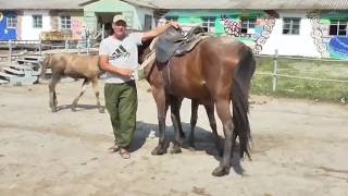 Катание на лошадях - Долина Сукко -  Инструктаж: Как оседлать лошадь
