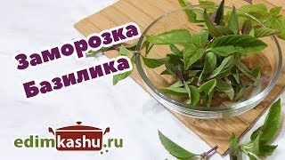 Очень простой способ Заморозки Базилика/ Заготовки на зиму