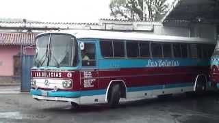Buses de Venezuela III - Venebuses