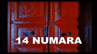 14 Numara (1985)