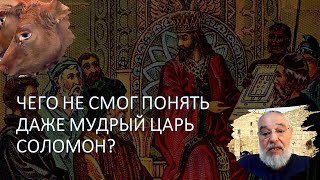 Чего не смог понять в Торе царь Соломон? Как рэб Зуся бедную вдову спас?