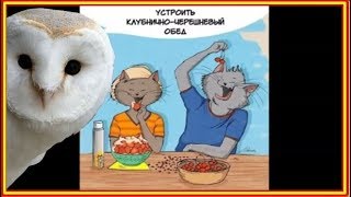 Комикс За что мы любим лето с котами. Summer Comics.