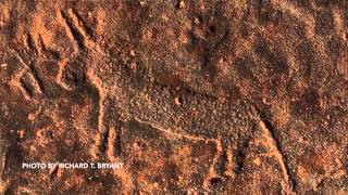 KU researcher uses Arabian rock art to examine prehistoric human-animal relationship